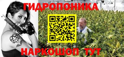мет Кинель