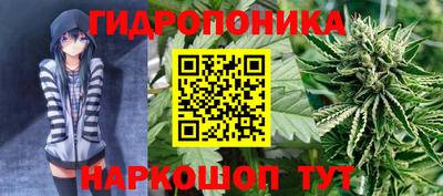 мет Кинель