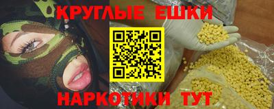 тгк Кингисепп