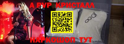 тгк Кингисепп