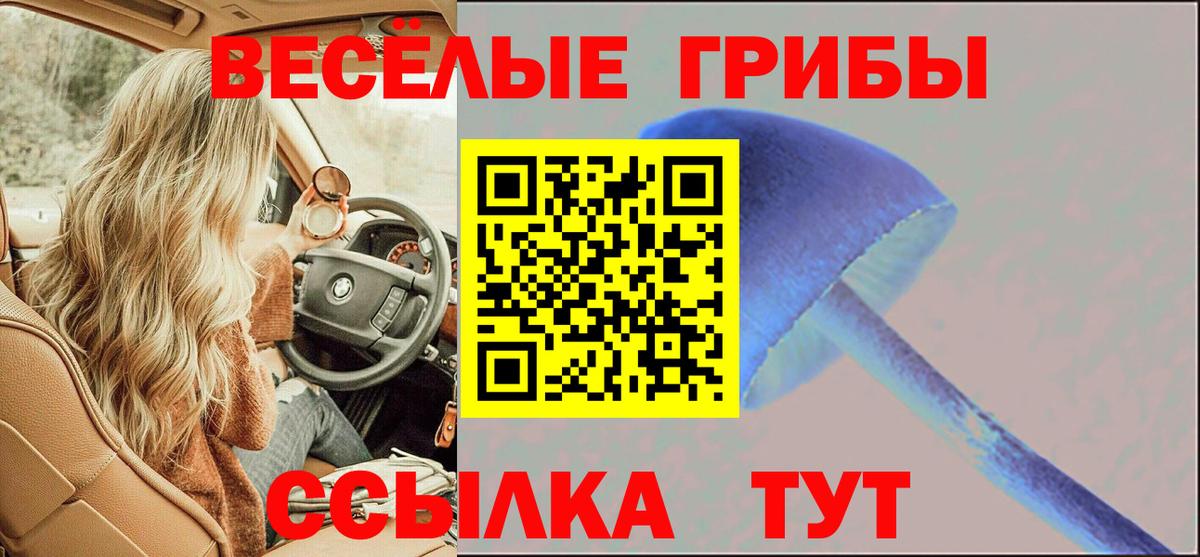 закладки  Галлюциногенные грибы мицелий  Кузнецк  Вход с VPN  Галлюциногенные грибы мухоморы 
